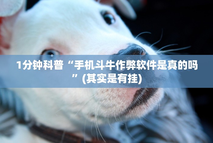 1分钟科普“手机斗牛作弊软件是真的吗”(其实是有挂)