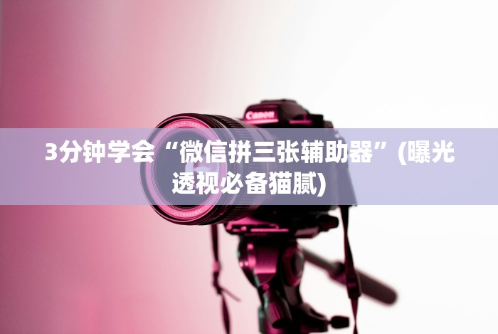 [分享]“手机上玩十三道如何才能赢”揭秘透视辅助万能挂