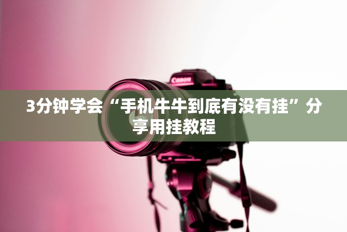 [推荐]“十三水开挂方法”开挂(透视)辅助