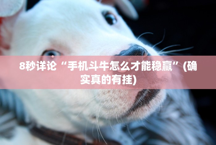 8秒详论“手机斗牛怎么才能稳赢”(确实真的有挂)