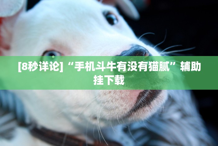 [8秒详论]“手机斗牛有没有猫腻”辅助挂下载