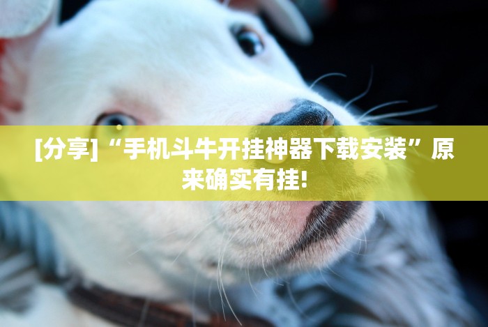 [分享]“手机斗牛开挂神器下载安装”原来确实有挂!