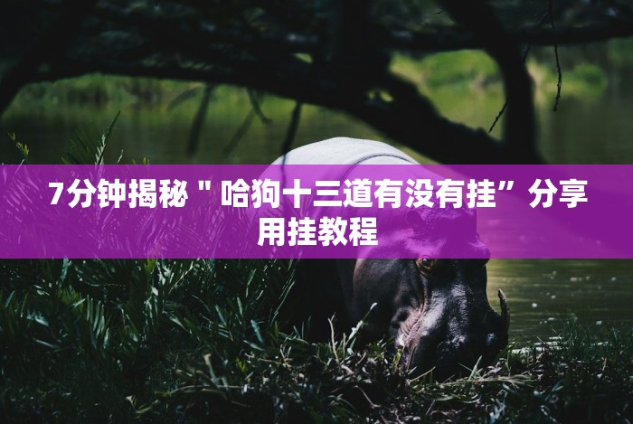 7分钟揭秘＂哈狗十三道有没有挂”分享用挂教程