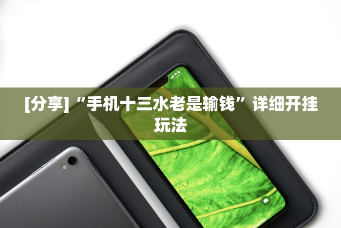 [分享]“手机十三水老是输钱”详细开挂玩法