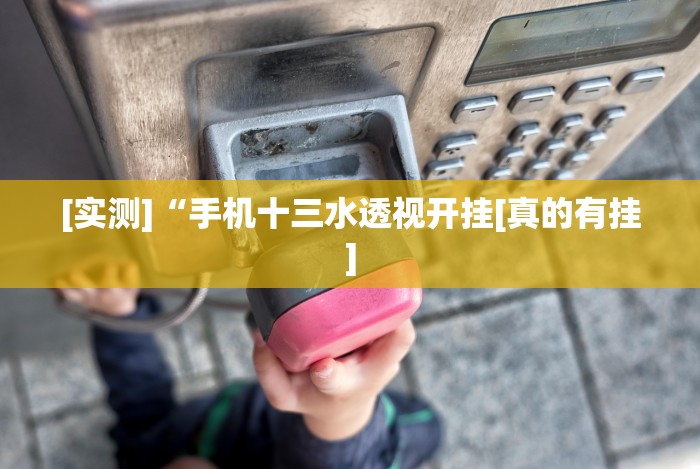 [实测]“福建十三水辅助器下载”(确实真的有挂)