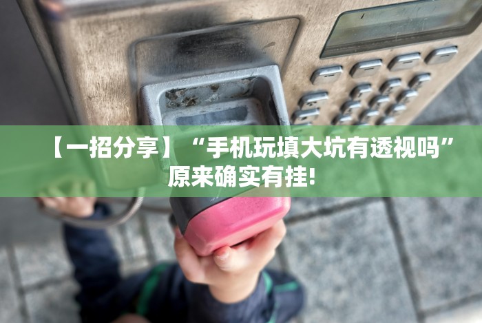 【一招分享】“手机玩填大坑有透视吗”原来确实有挂! 【一招分享】“手机玩填大坑有透视吗”原来确实有挂!