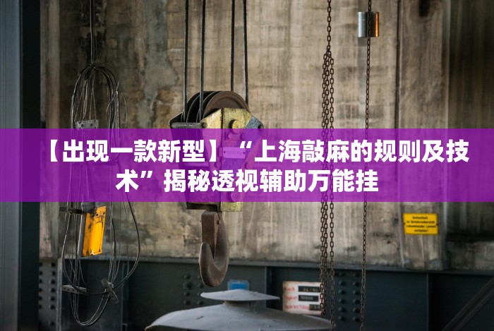 【出现一款新型】“上海敲麻的规则及技术”揭秘透视辅助万能挂