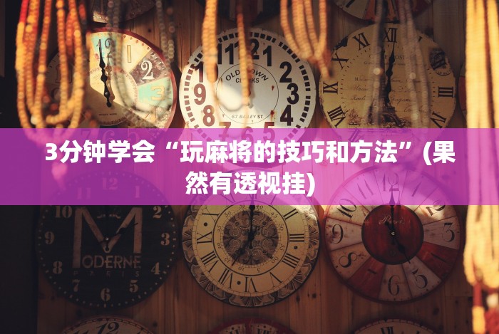 3分钟学会“玩麻将的技巧和方法”(果然有透视挂) 3分钟学会“玩麻将的技巧和方法”(果然有透视挂)