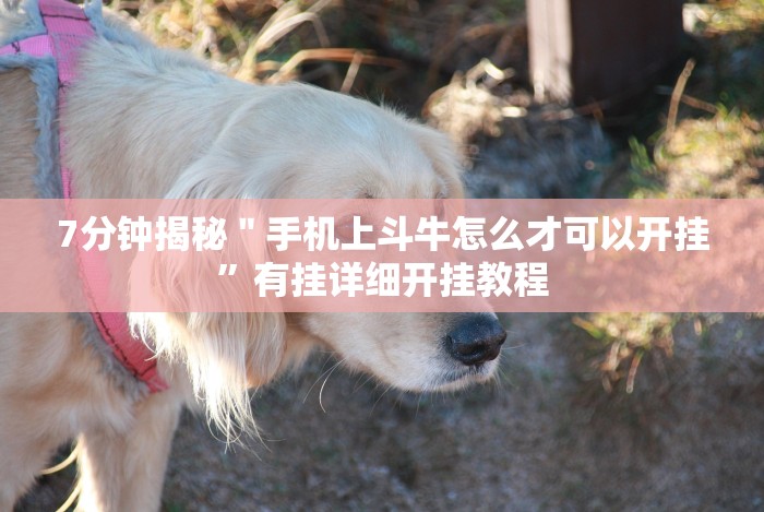 7分钟揭秘"手机上斗牛怎么才可以开挂”有挂详细开挂教程 7分钟揭秘"手机上斗牛怎么才可以开挂”有挂详细开挂教程