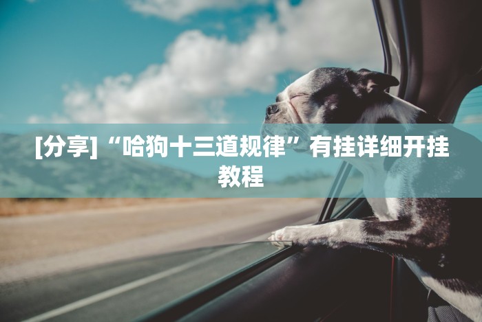 [分享]“哈狗十三道规律”有挂详细开挂教程