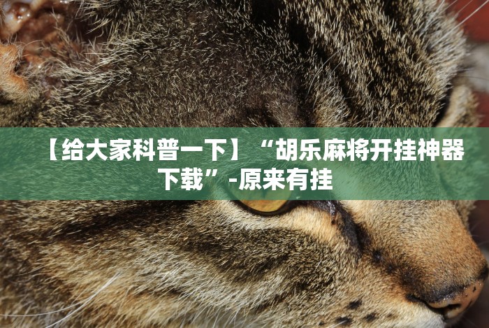 【给大家科普一下】“胡乐麻将开挂神器下载”-原来有挂 【给大家科普一下】“胡乐麻将开挂神器下载”-原来有挂