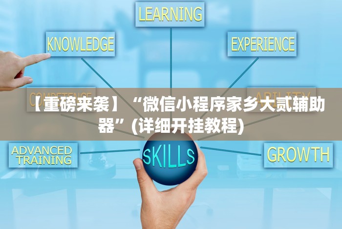 【重磅来袭】“微信小程序家乡大贰辅助器”(详细开挂教程)