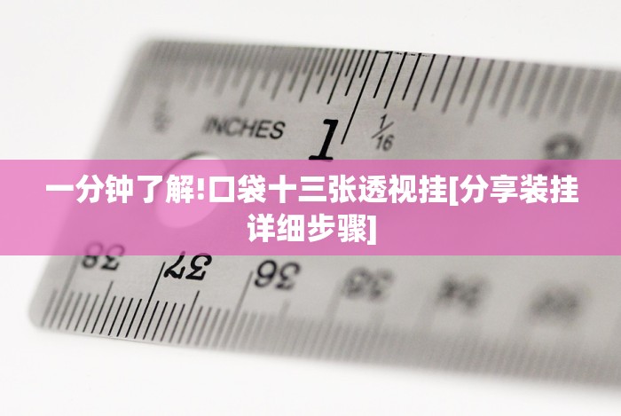 一分钟了解!口袋十三张透视挂[分享装挂详细步骤]