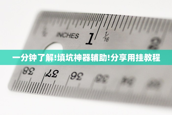 一分钟了解!填坑神器辅助!分享用挂教程