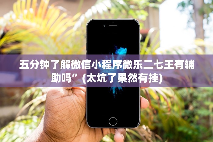 五分钟了解微信小程序微乐二七王有辅助吗”(太坑了果然有挂)