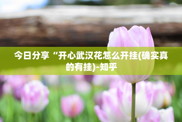 今日分享“开心武汉花怎么开挂(确实真的有挂)-知乎