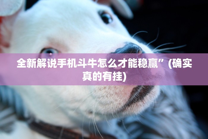 全新解说手机斗牛怎么才能稳赢”(确实真的有挂)