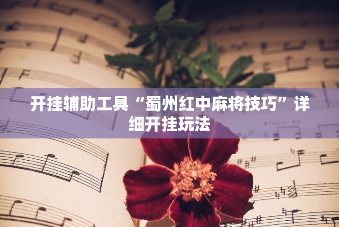 开挂辅助工具“蜀州红中麻将技巧”详细开挂玩法