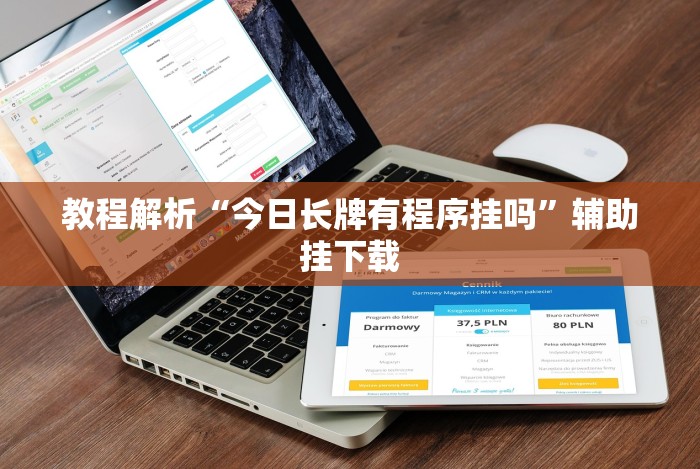 教程解析“今日长牌有程序挂吗”辅助挂下载