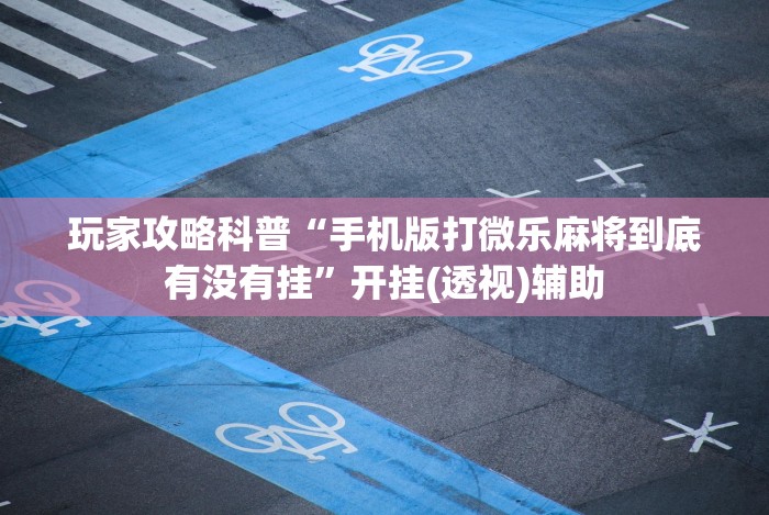 玩家攻略科普“手机版打微乐麻将到底有没有挂”开挂(透视)辅助