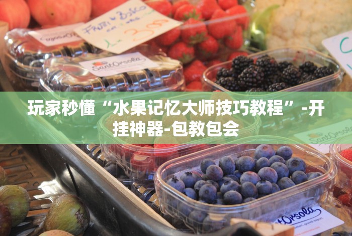 玩家秒懂“水果记忆大师技巧教程”-开挂神器-包教包会 玩家秒懂“水果记忆大师技巧教程”-开挂神器-包教包会