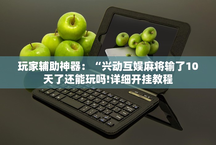 玩家辅助神器：“兴动互娱麻将输了10天了还能玩吗!详细开挂教程