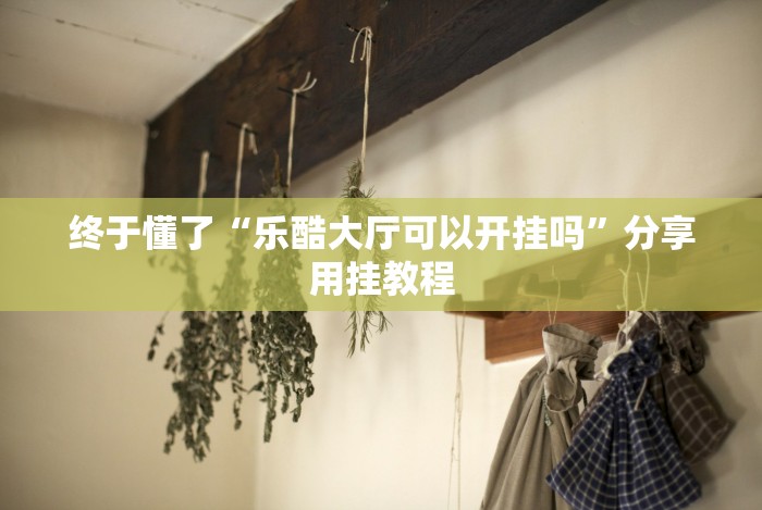 终于懂了“乐酷大厅可以开挂吗”分享用挂教程 终于懂了“乐酷大厅可以开挂吗”分享用挂教程