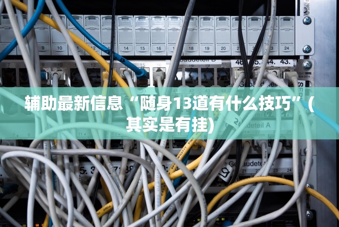辅助最新信息“随身13道有什么技巧”(其实是有挂)