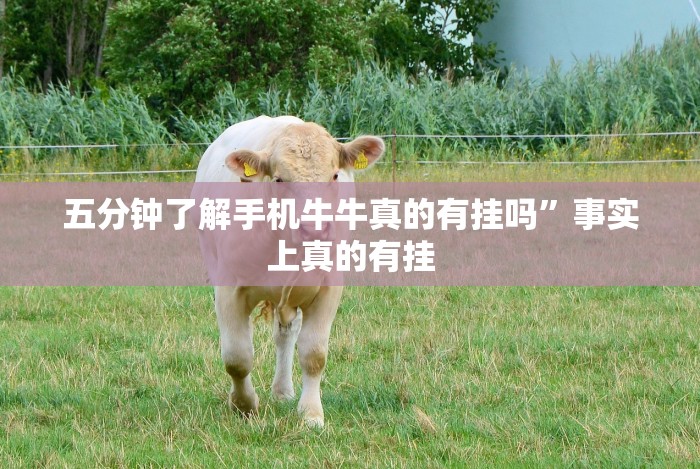 五分钟了解手机牛牛真的有挂吗”事实上真的有挂