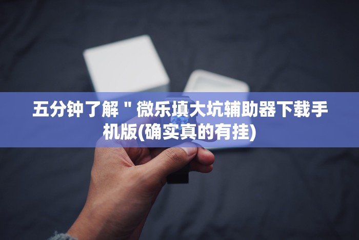 五分钟了解＂微乐填大坑辅助器下载手机版(确实真的有挂)