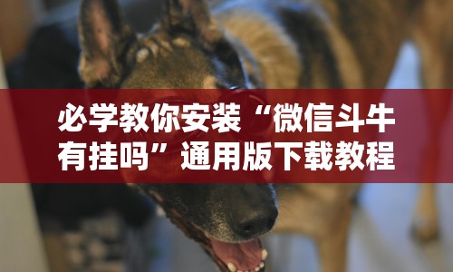 必学教你安装“微信斗牛有挂吗”通用版下载教程!