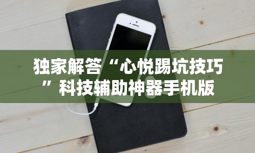 独家解答“心悦踢坑技巧”科技辅助神器手机版