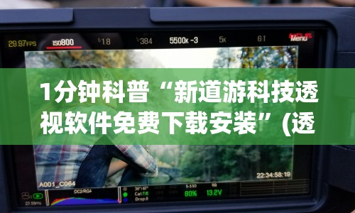 1分钟科普“新道游科技透视软件免费下载安装”(透视)其实确实有挂