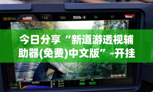 今日分享“新道游透视辅助器(免费)中文版”-开挂神器-包教包会