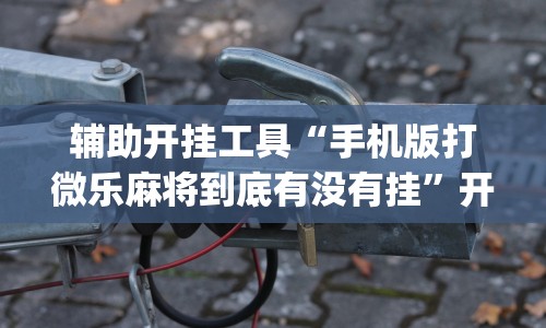 辅助开挂工具“手机版打微乐麻将到底有没有挂”开挂(透视)辅助