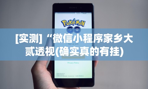 [实测]“微信小程序家乡大贰透视(确实真的有挂)