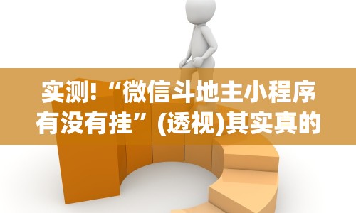 实测!“微信斗地主小程序有没有挂”(透视)其实真的有挂