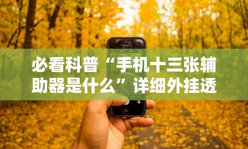 必看科普“手机十三张辅助器是什么”详细外挂透视辅助软件教程