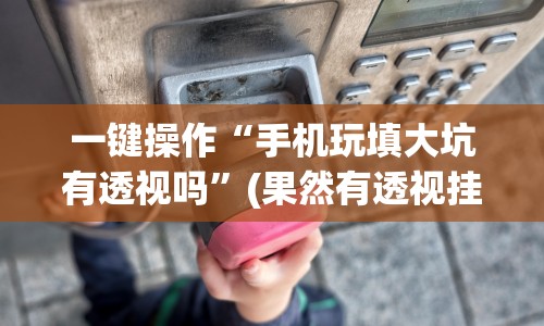 一键操作“手机玩填大坑有透视吗”(果然有透视挂) 