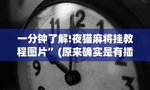 一分钟了解!夜猫麻将挂教程图片”(原来确实是有插件)