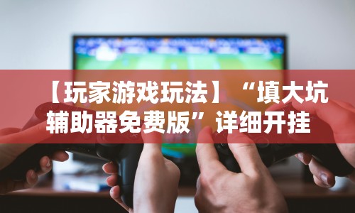 【玩家游戏玩法】“填大坑辅助器免费版”详细开挂教程