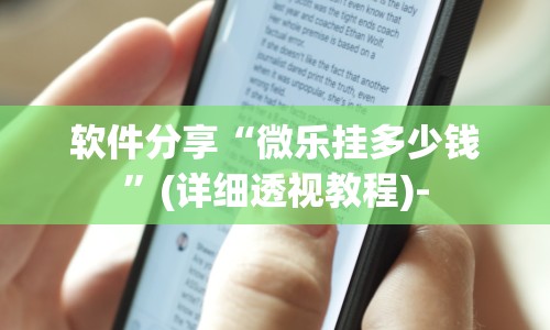 软件分享“微乐挂多少钱”(详细透视教程)-