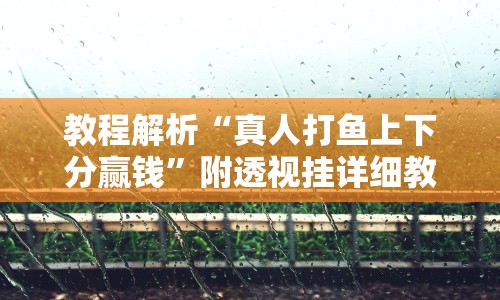 教程解析“真人打鱼上下分赢钱”附透视挂详细教程 