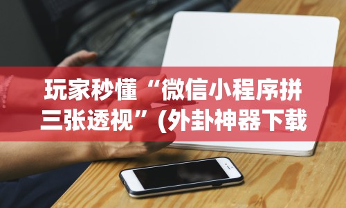 玩家秒懂“微信小程序拼三张透视”(外卦神器下载)