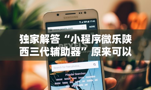 独家解答“小程序微乐陕西三代辅助器”原来可以开挂