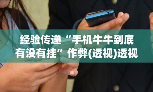 经验传递“手机牛牛到底有没有挂”作弊(透视)透视辅助