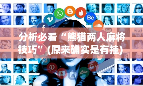 分析必看“熊猫两人麻将技巧”(原来确实是有挂) 